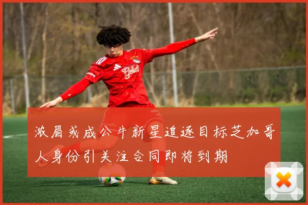 浓眉或成公牛新星追逐目标芝加哥人身份引关注合同即将到期