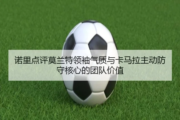 诺里点评莫兰特领袖气质与卡马拉主动防守核心的团队价值 | yaxin